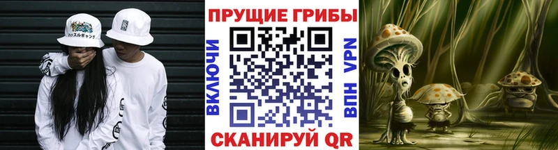 Галлюциногенные грибы ЛСД  Тавда 