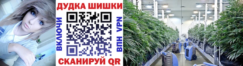 Бошки Шишки MAZAR Тавда